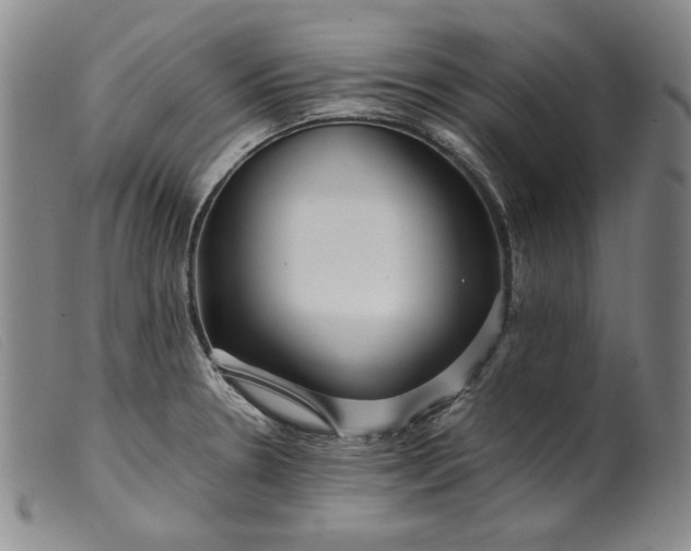 X0000099431330200805231644