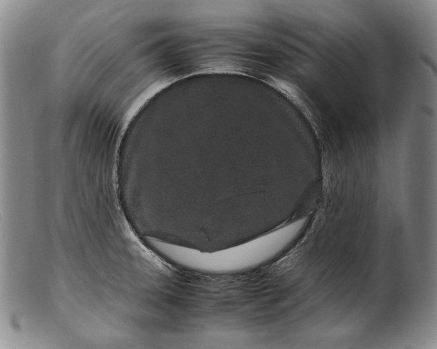 X0000099431331200805231644