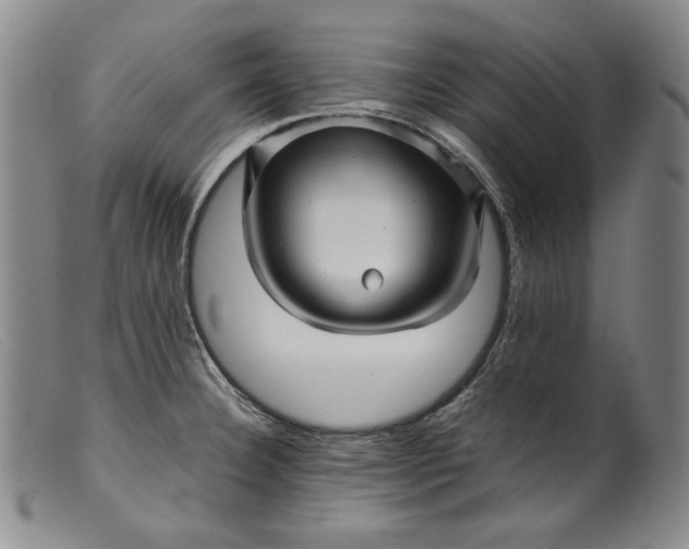 X0000099431332200805231644