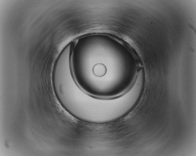 X0000099431334200805231644
