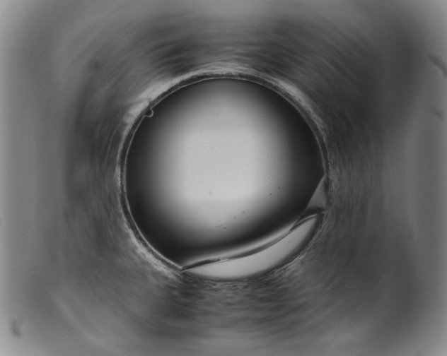 X0000099431335200805231644
