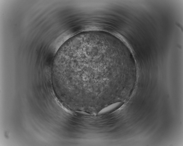 X0000099431337200805231644