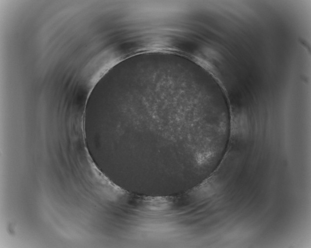 X0000099431338200805231644