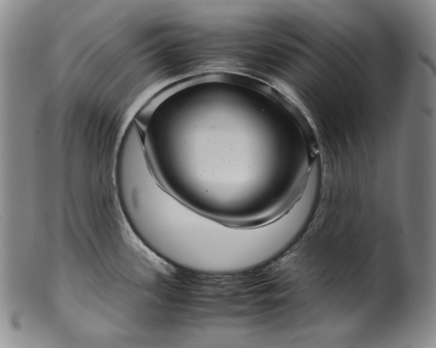 X0000099431339200805231644
