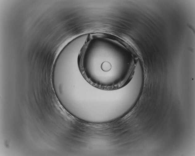 X0000099431340200805231644