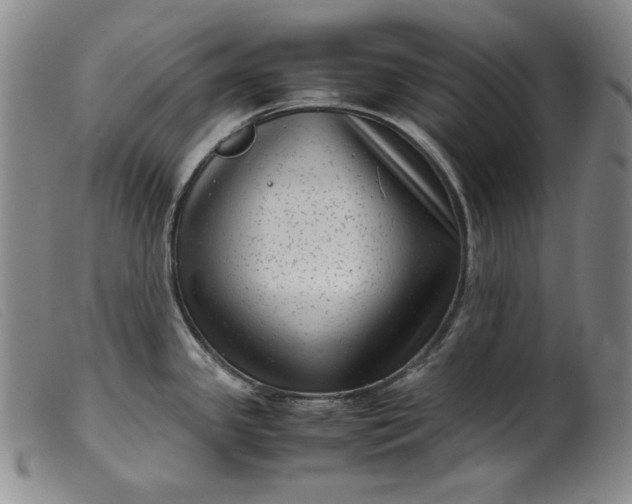 X0000099431341200805231644