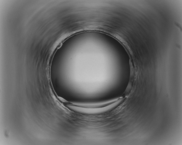 X0000099431342200805231644