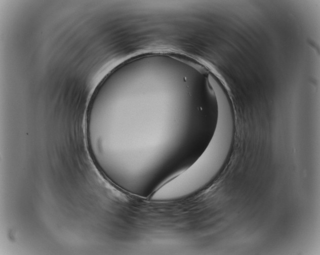 X0000099431343200805231644