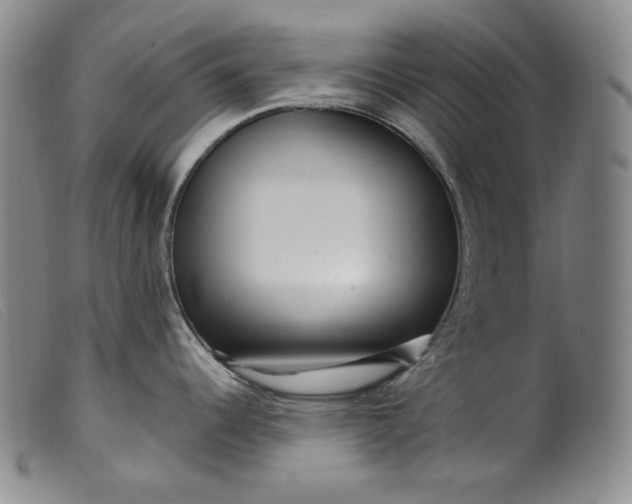 X0000099431344200805231644