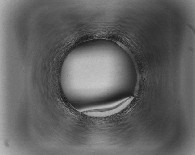X0000099431345200805231643
