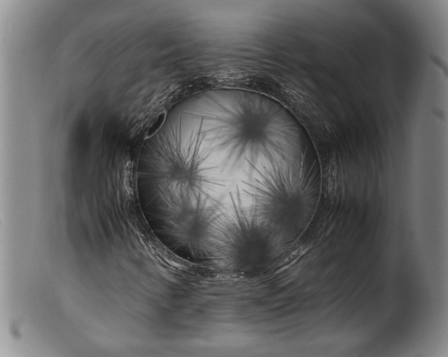 X0000099431346200805231643
