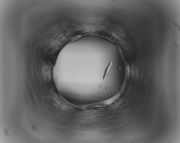 X0000099431348200805231643
