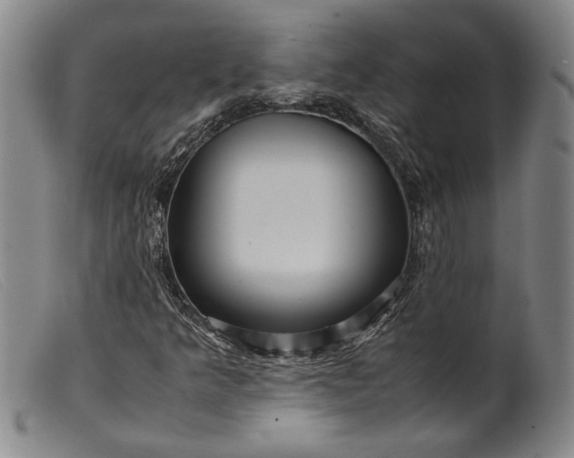 X0000099431349200805231643