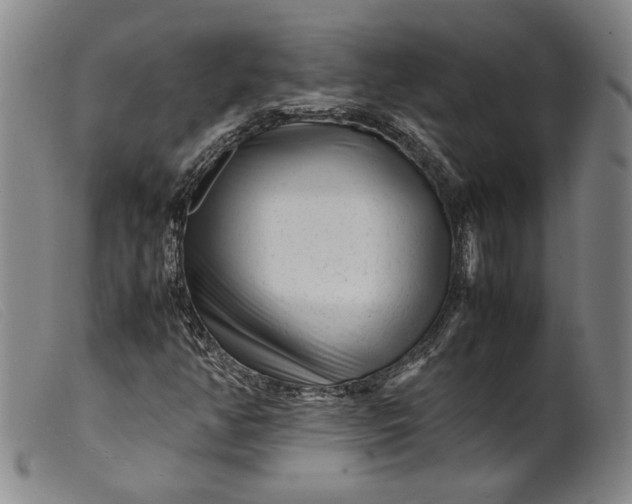X0000099431350200805231643