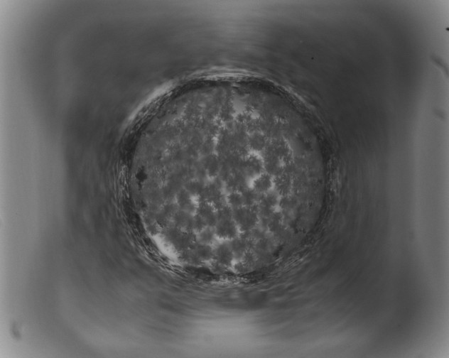 X0000099431351200805231643