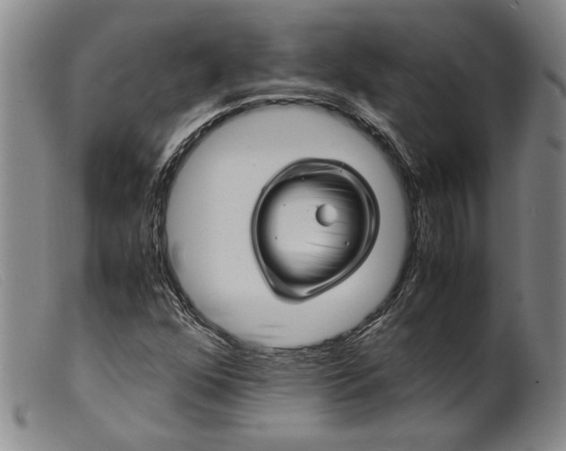 X0000099431352200805231643