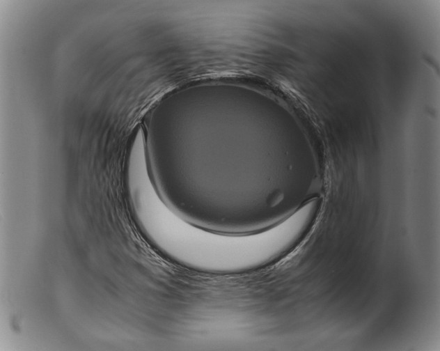 X0000099431353200805231643