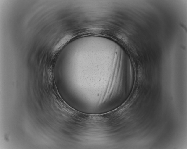 X0000099431354200805231643