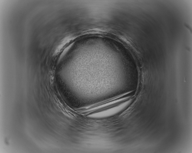 X0000099431355200805231643