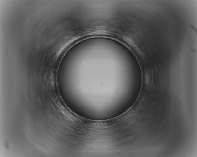X0000099431356200805231643