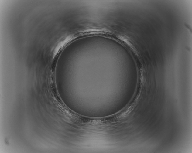X0000099431357200805231643