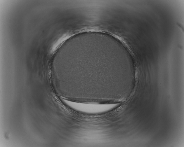 X0000099431359200805231643