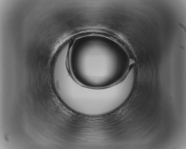 X0000099431360200805231643