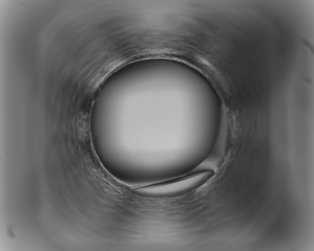 X0000099431361200805231643