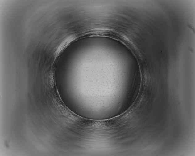 X0000099431362200805231643