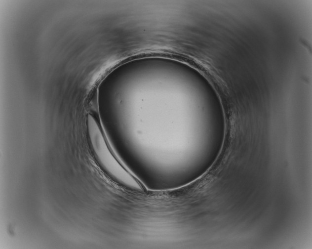 X0000099431363200805231643