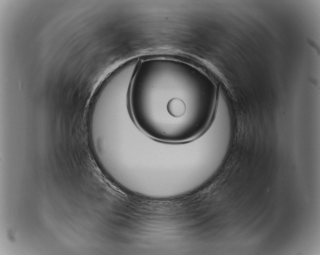 X0000099431364200805231643