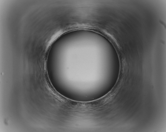 X0000099431365200805231643