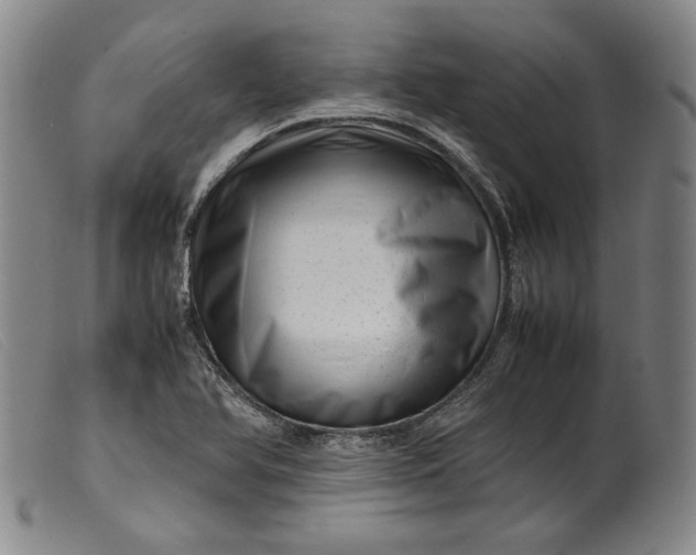 X0000099431366200805231643
