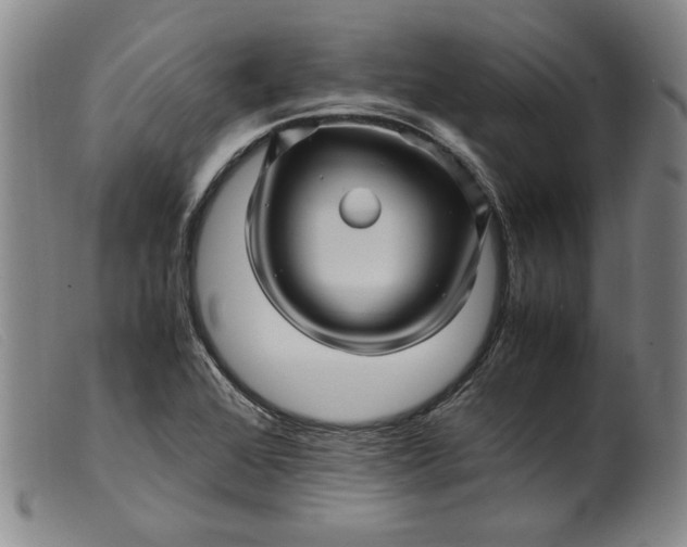X0000099431368200805231643