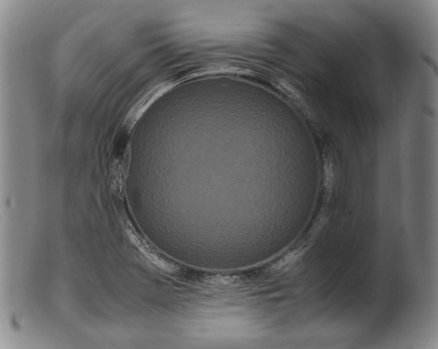 X0000099431369200805231643