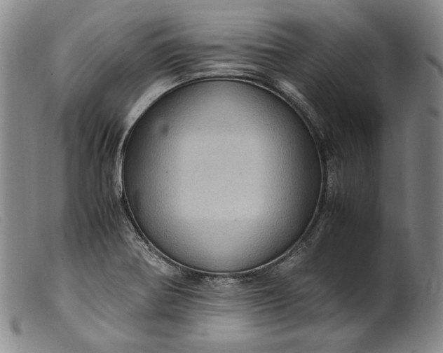 X0000099431370200805231643
