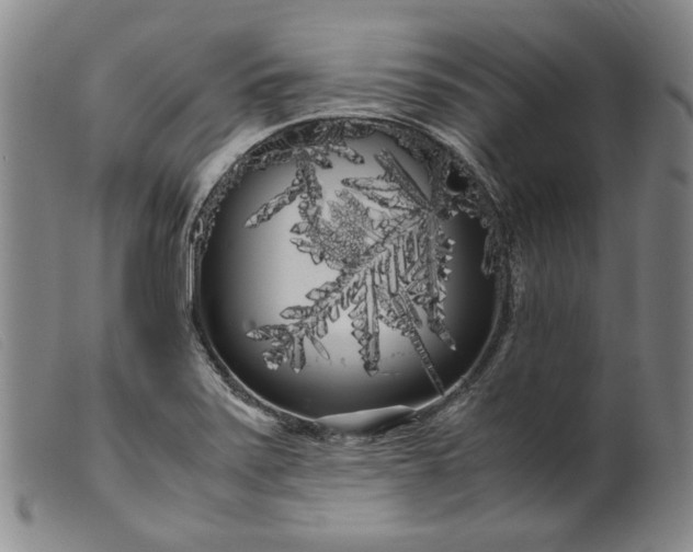 X0000099431371200805231643