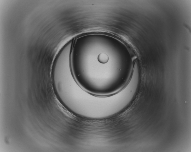 X0000099431372200805231643