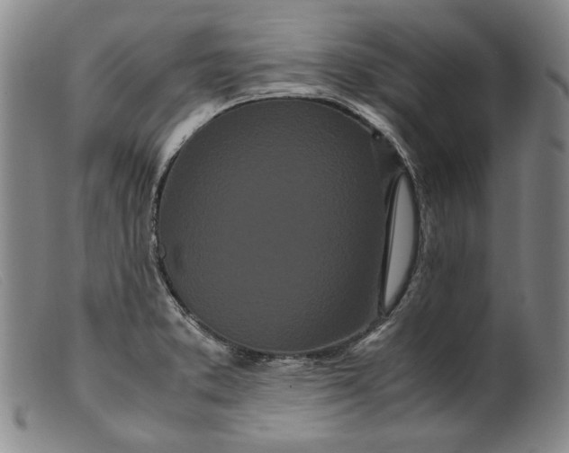 X0000099431373200805231643