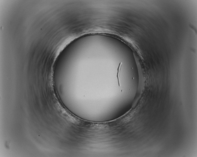 X0000099431374200805231643