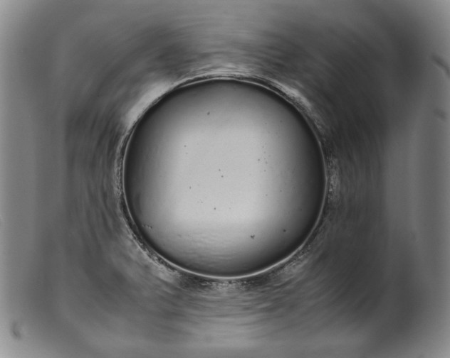 X0000099431375200805231643