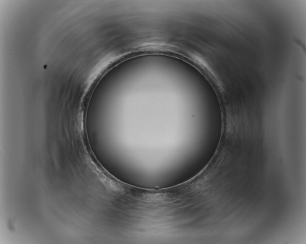 X0000099431376200805231643