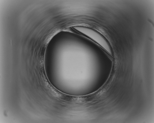 X0000099431377200805231643
