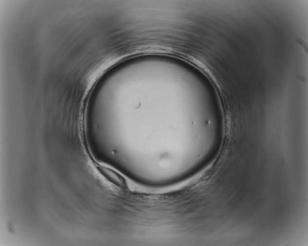 X0000099431379200805231643