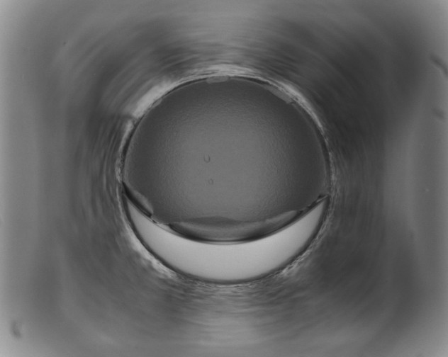 X0000099431381200805231643