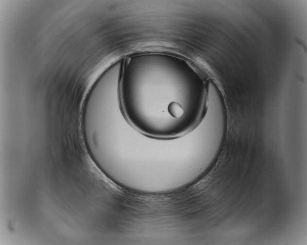 X0000099431384200805231643