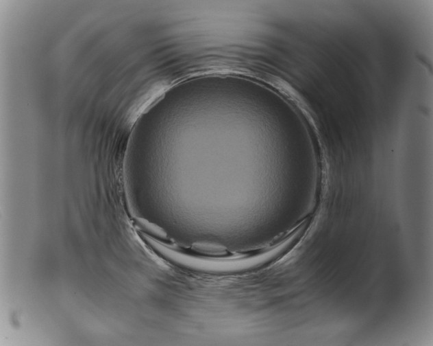 X0000099431385200805231643