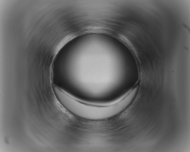 X0000099431386200805231643