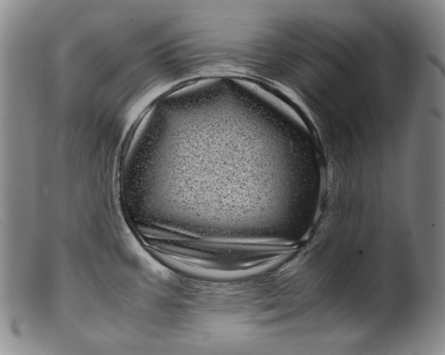 X0000099431387200805231643