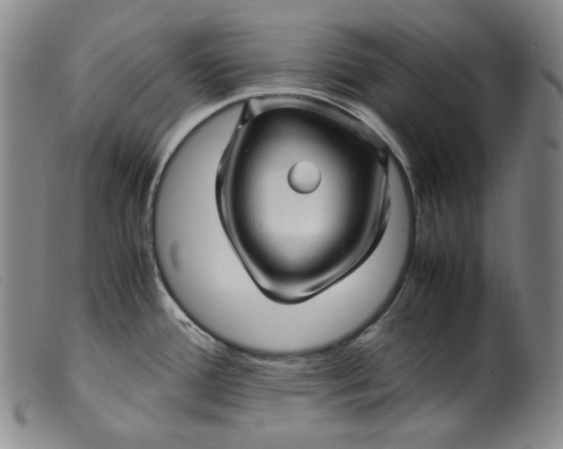 X0000099431388200805231643